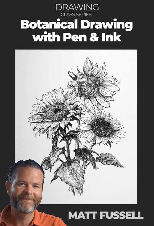 Pen and Ink Botanical Part 1