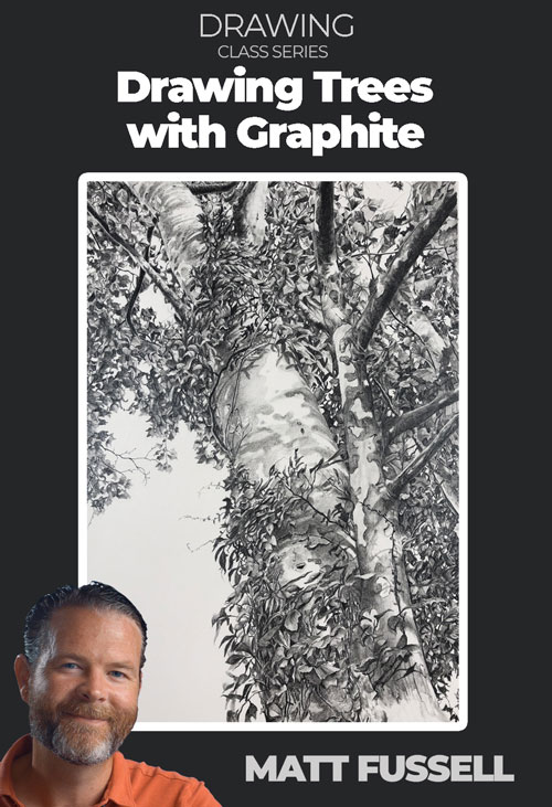 Graphite Drawing Lesson - 