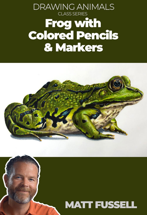 Colored pencils and markers - frog part 9