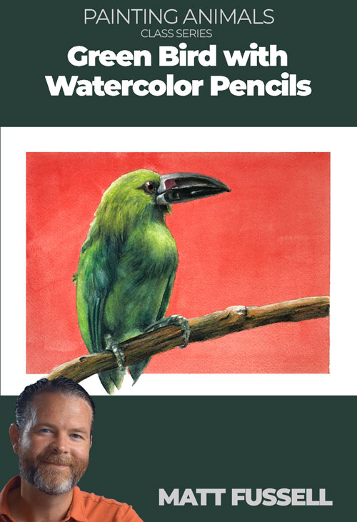 Watercolor Pencil Bird Series