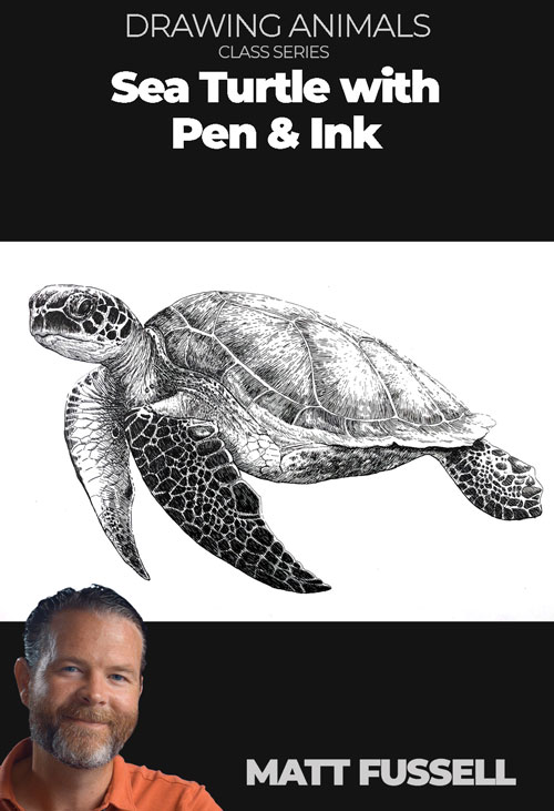 Pen and Ink - Sea Turtle
