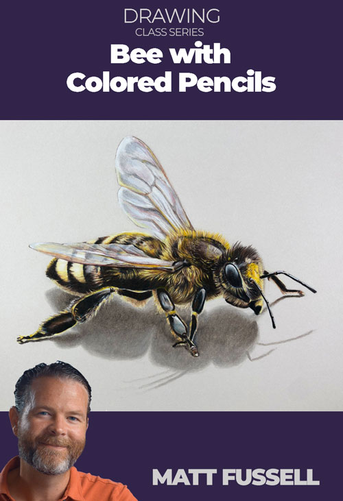 Bee with Colored Pencils