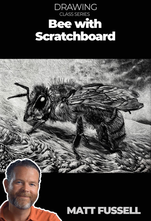 Scratchboard - Bee