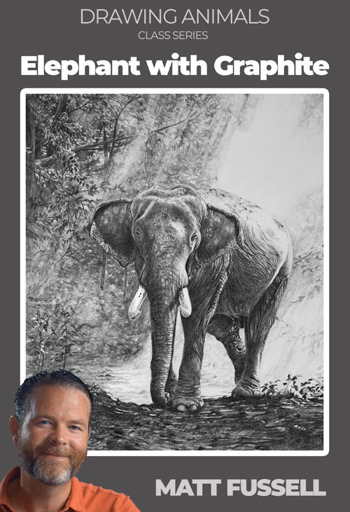 Graphite drawing lesson series - Elephant