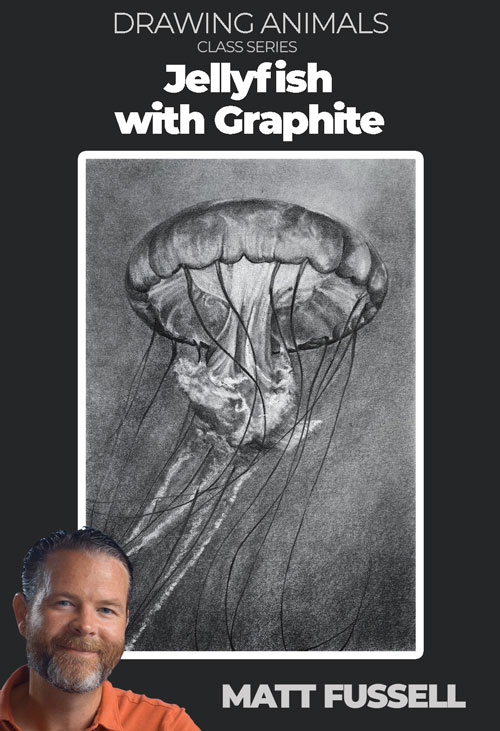 Jellyfish with Graphite Pencils