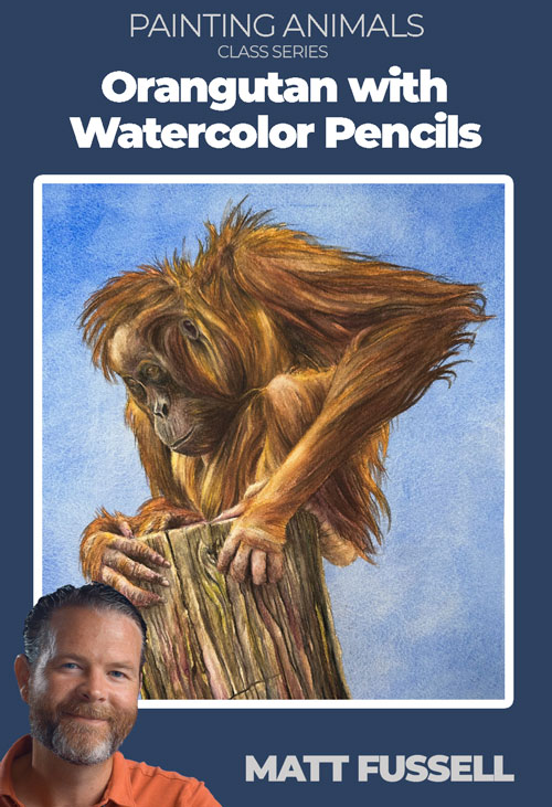 Orangutan with Watercolor Pencils