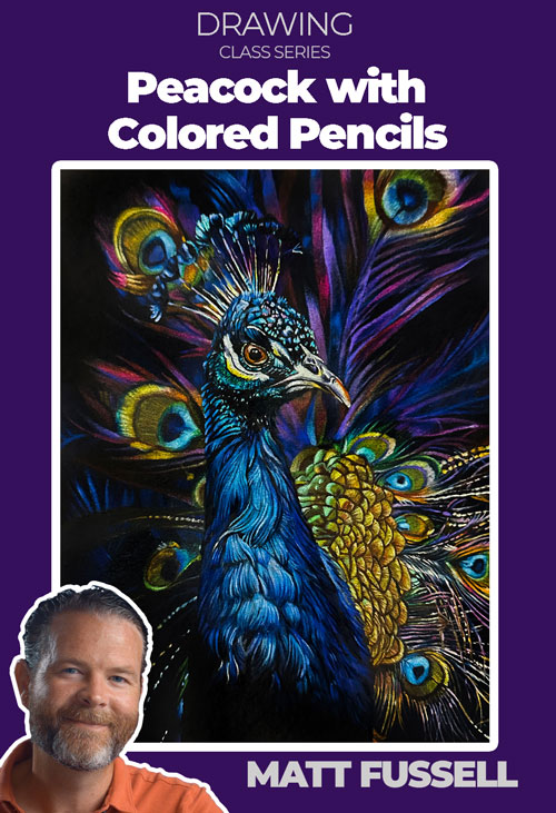 Peacock with Colored Pencils Class