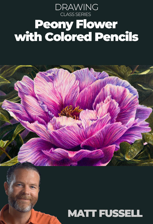 Peony Flower with Colored Pencils Series