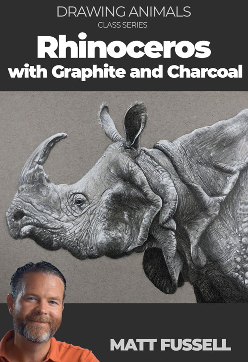 Rhinoceros Drawing with Graphite Class