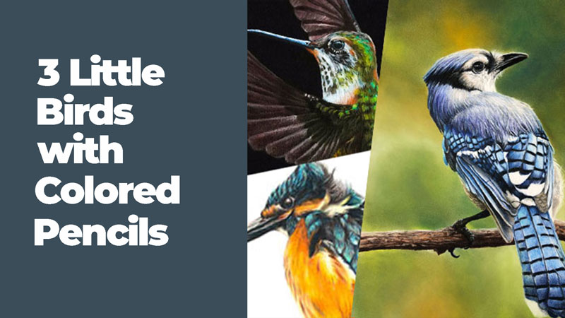 Three Little Birds with Colored Pencils Course