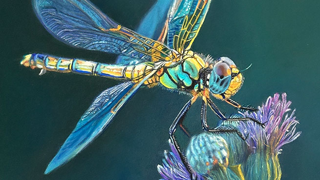 Pastel drawing critique