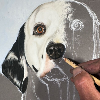 Dog Portrait with Pastels