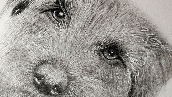 Graphite drawing critique