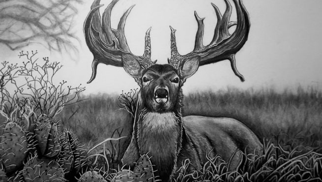 Graphite pencil drawing critique
