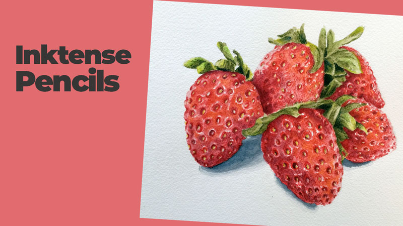 Inktense pencils still life lesson series