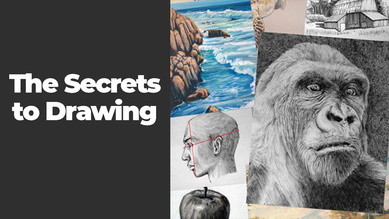 The Secrets to Drawing Course