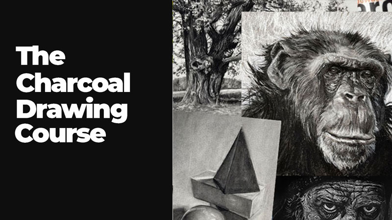 The Charcoal Drawing Course