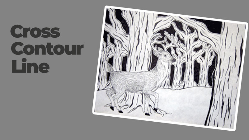 Cross Contour Line Lesson Plan