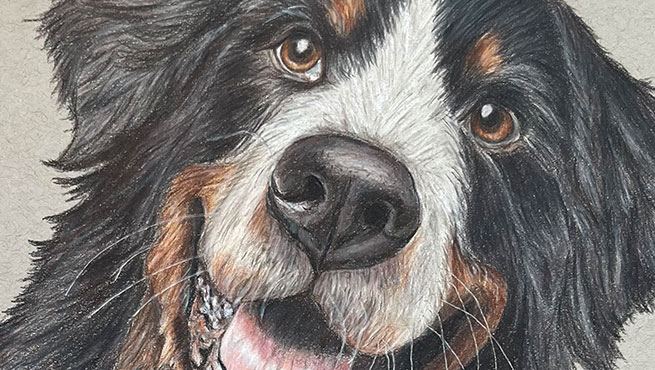 Colored pencil critique