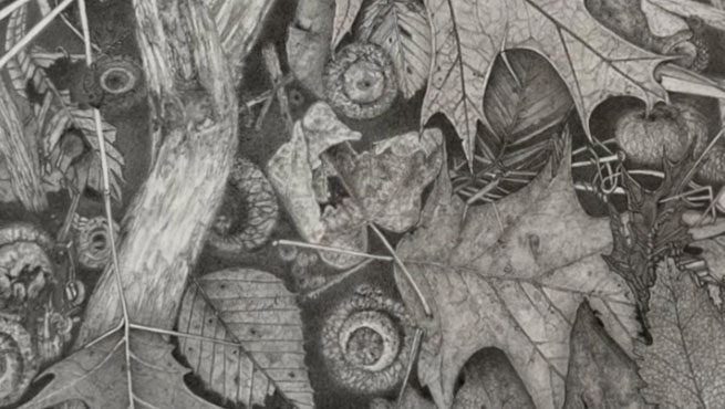 Pencil Drawing critique