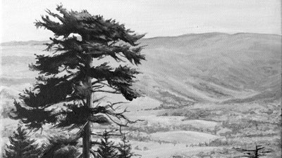 Underpainting with Acrylics Part 1