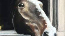 How to Draw a Horse with Pastels