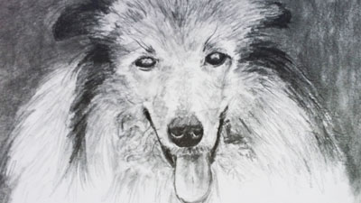 How to draw a dog with graphite - Live Lesson series