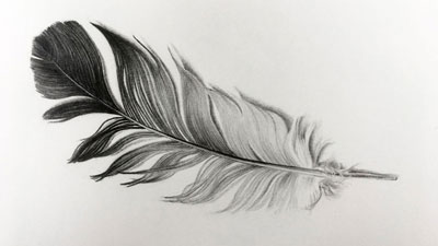 Graphite or Pencil Drawing Tutorials