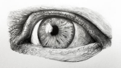 Online Class: Beginner's Guide to Graphite Pencils & Value Shading  w/@adriennehodgeart