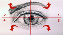 How to draw an eye step by step - course module