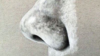 How to draw the nose from a profile view