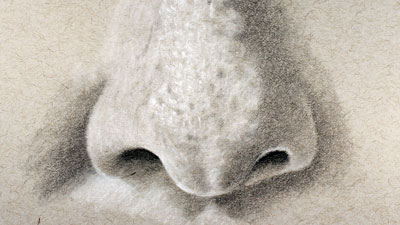 How to draw the nose from a frontal view