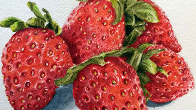 Inktense pencils still life lesson series