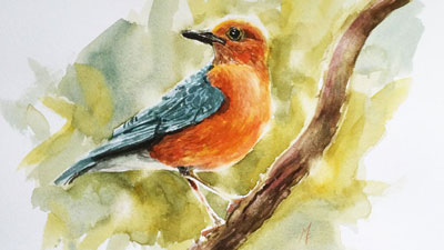How to Paint a Bird with Watercolor