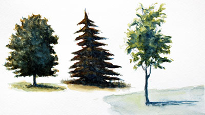 How to paint trees with watercolor